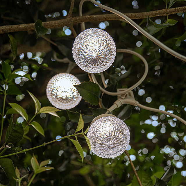 Coody Glowna Camping Lights